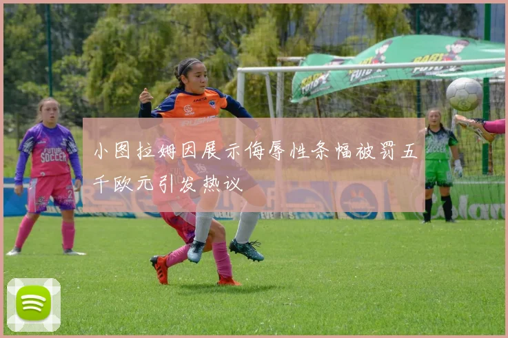 小图拉姆因展示侮辱性条幅被罚五千欧元引发热议