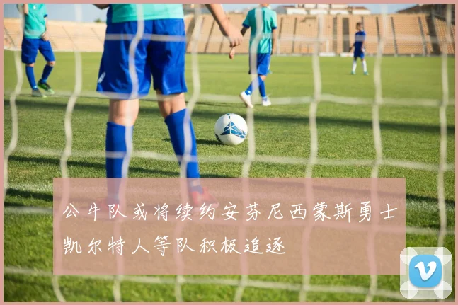 公牛队或将续约安芬尼西蒙斯勇士凯尔特人等队积极追逐